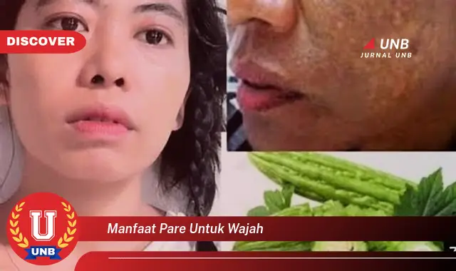 manfaat pare untuk wajah manfaat pare untuk wajah