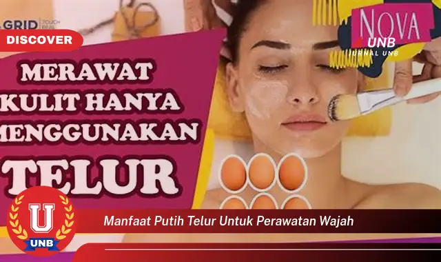 manfaat putih telur untuk perawatan wajah