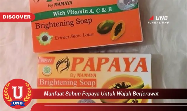manfaat sabun pepaya untuk wajah berjerawat manfaat sabun pepaya untuk wajah berjerawat