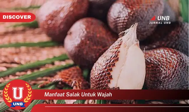 manfaat salak untuk wajah