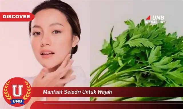 manfaat seledri untuk wajah