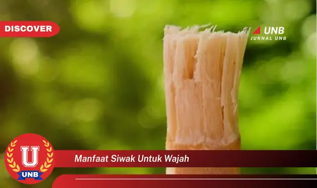 manfaat siwak untuk wajah