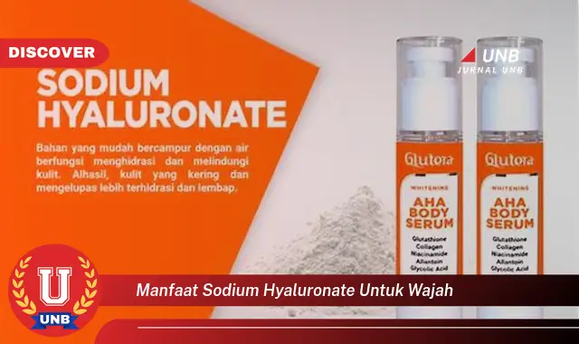 manfaat sodium hyaluronate untuk wajah manfaat sodium hyaluronate untuk wajah