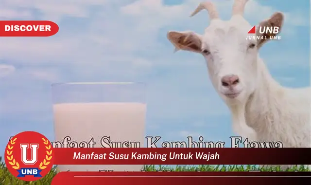 manfaat susu kambing untuk wajah