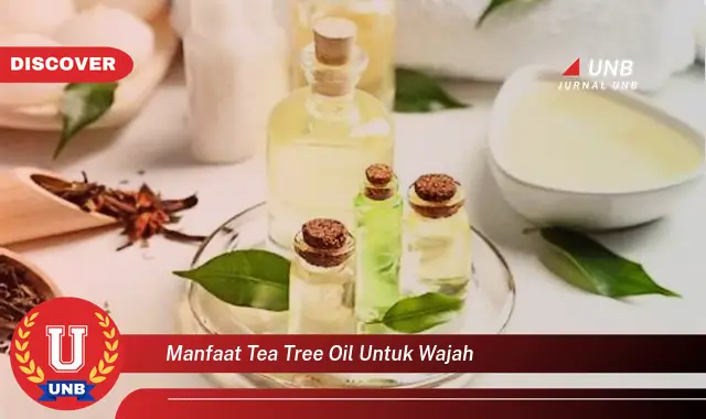 manfaat tea tree oil untuk wajah