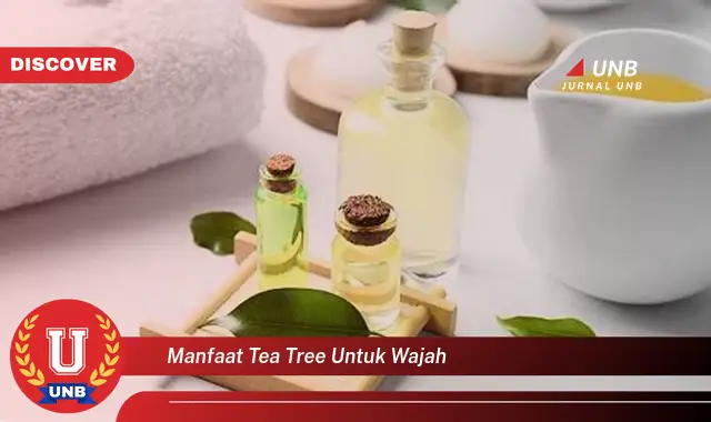 manfaat tea tree untuk wajah manfaat tea tree untuk wajah