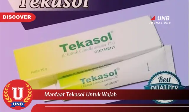 manfaat tekasol untuk wajah manfaat tekasol untuk wajah