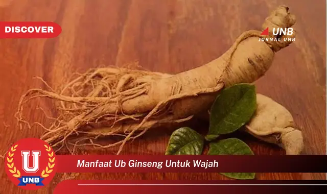 manfaat ub ginseng untuk wajah