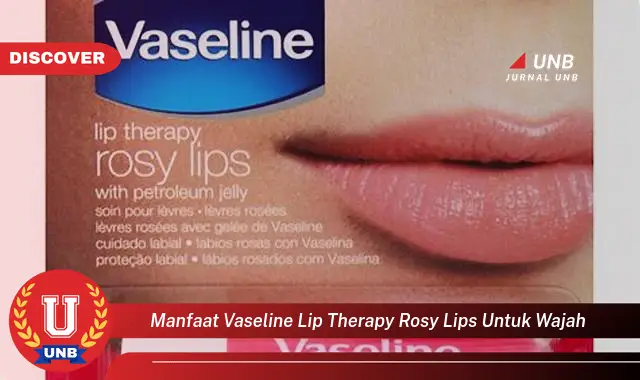 manfaat vaseline lip therapy rosy lips untuk wajah manfaat vaseline lip therapy rosy lips untuk wajah