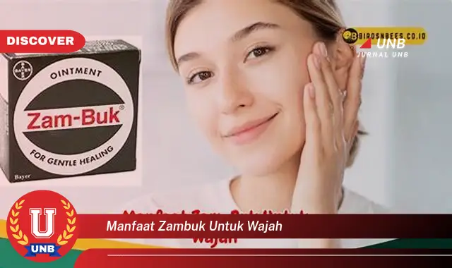 manfaat zambuk untuk wajah