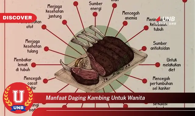 manfaat daging kambing untuk wanita