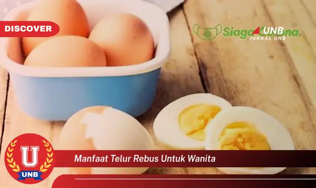 manfaat telur rebus untuk wanita