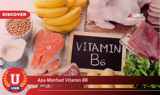 apa manfaat vitamin b6