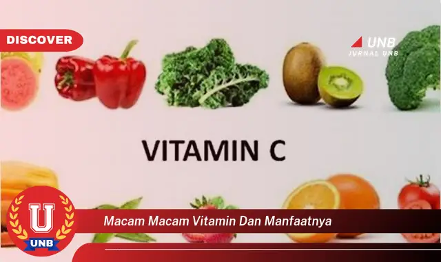 macam macam vitamin dan manfaatnya