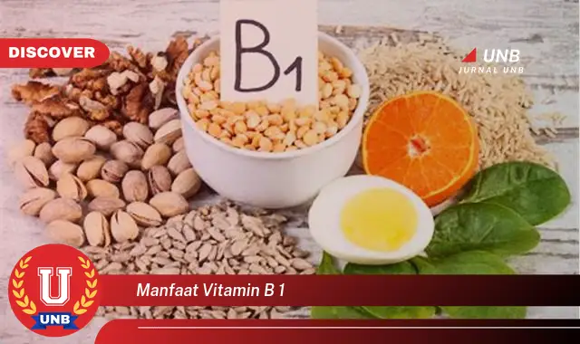 manfaat vitamin b 1