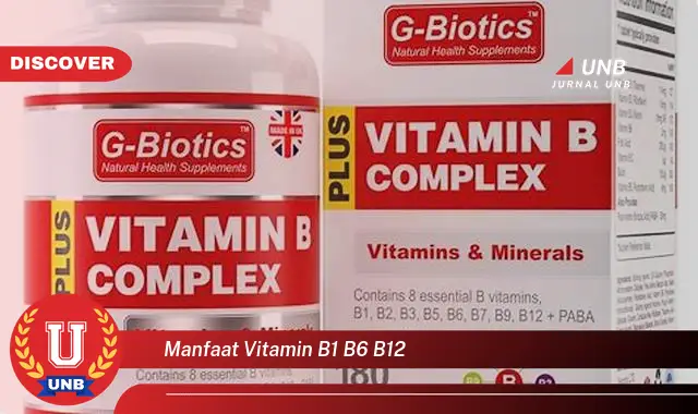 manfaat vitamin b1 b6 b12 manfaat vitamin b1 b6 b12