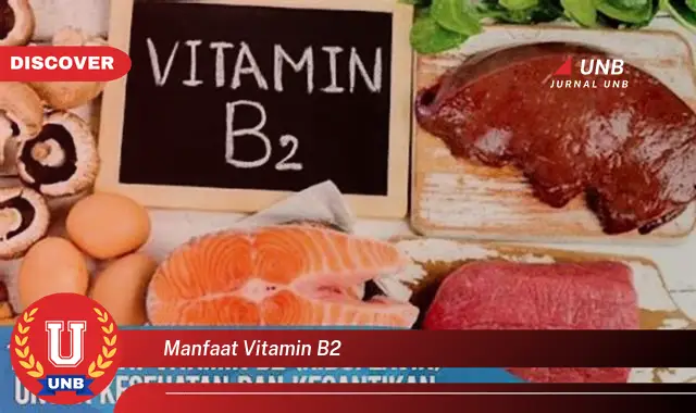 manfaat vitamin b2