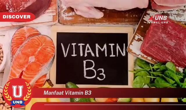 manfaat vitamin b3