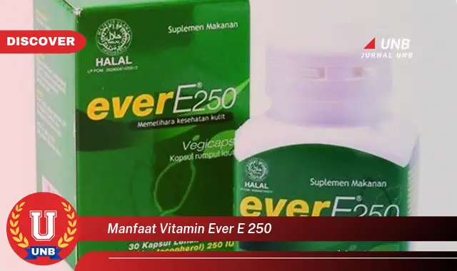 manfaat vitamin ever e 250 manfaat vitamin ever e 250