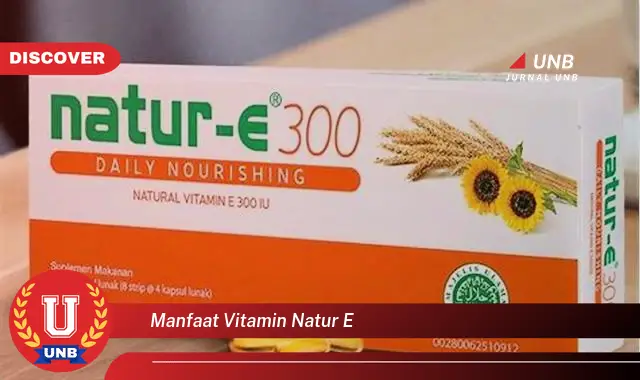 manfaat vitamin natur e