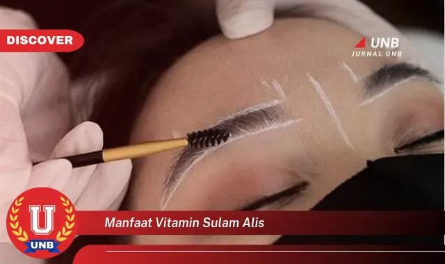 manfaat vitamin sulam alis