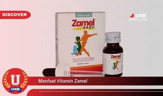 manfaat vitamin zamel