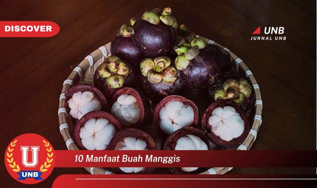 Temukan 10 Manfaat Buah Manggis untuk Kesehatan Anda Temukan 10 Manfaat Buah Manggis untuk Kesehatan Anda