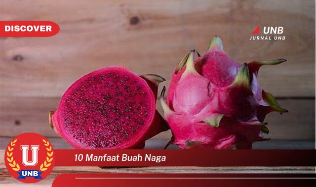 Temukan 10 Manfaat Buah Naga untuk Kesehatan dan Kecantikan Anda Temukan 10 Manfaat Buah Naga untuk Kesehatan dan Kecantikan Anda