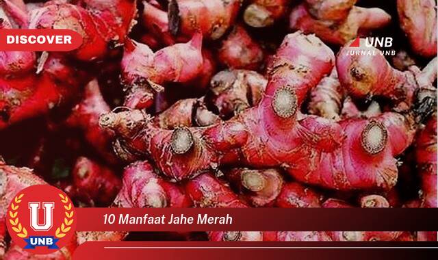 Temukan 10 Manfaat Jahe Merah untuk Kesehatan Anda