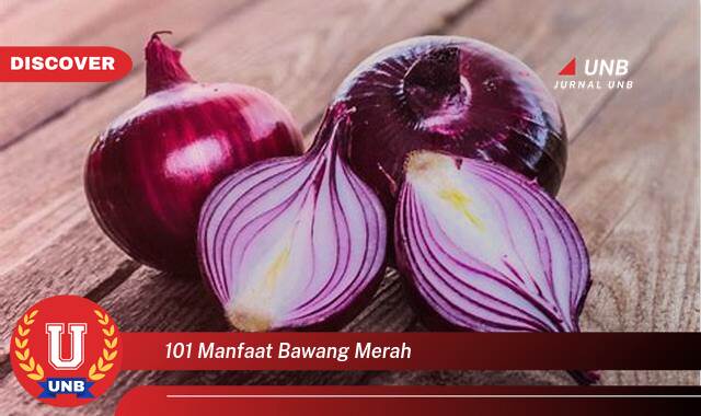 Temukan 101 Manfaat Bawang Merah untuk Kesehatan, Kecantikan, dan Rumah Tangga