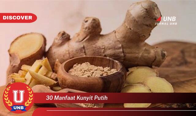 Temukan 30 Manfaat Kunyit Putih untuk Kesehatan Anda Temukan 30 Manfaat Kunyit Putih untuk Kesehatan Anda
