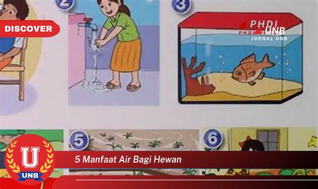Ketahui 5 Manfaat Air Bagi Hewan yang Jarang Diketahui