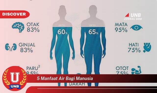 Temukan 5 Manfaat Air Bagi Manusia yang Mempengaruhi Kesehatan Anda