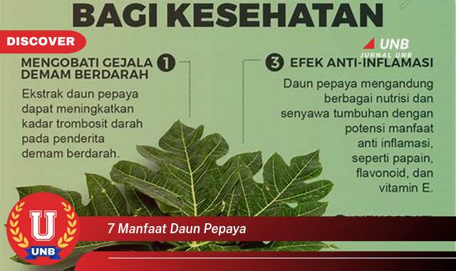 Temukan 7 Manfaat Daun Pepaya untuk Kesehatan Anda