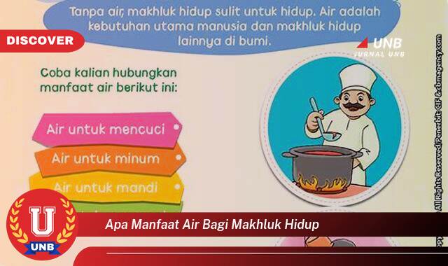 Temukan 10 Manfaat Air Bagi Makhluk Hidup, Kunci Kehidupan di Bumi