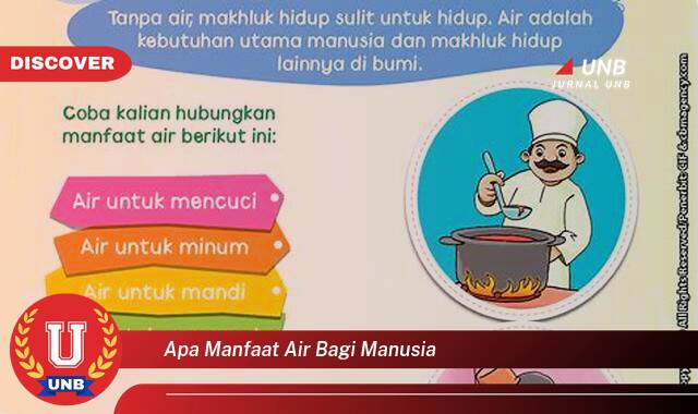 Temukan 8 Manfaat Air Bagi Manusia, Panduan Lengkap untuk Kesehatan & Kehidupan