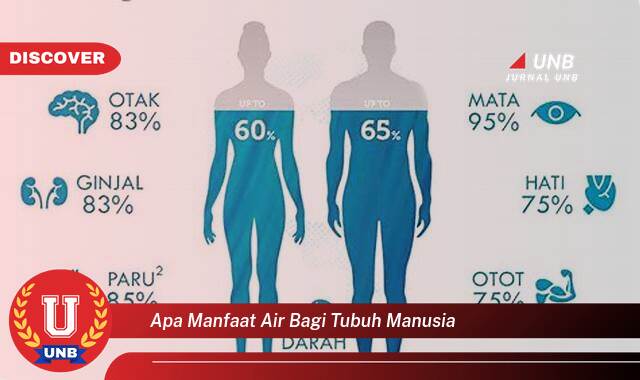 Ketahui 8 Manfaat Air Bagi Tubuh yang Tak Disangka