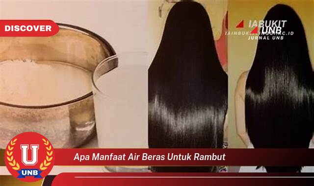 Ketahui 8 Manfaat apa manfaat air beras untuk rambut yang Jarang Diketahui