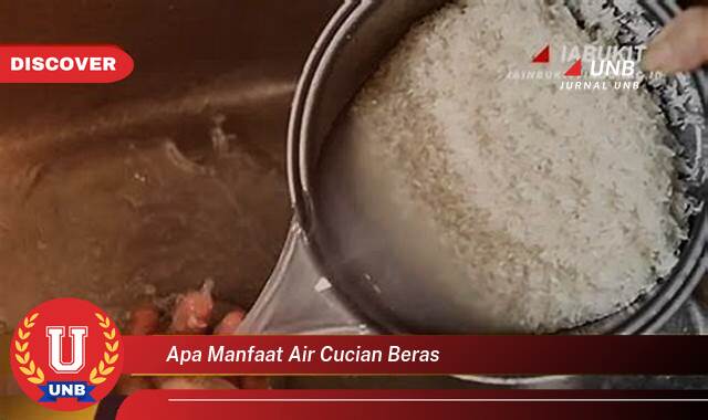 Inilah 10 Manfaat apa manfaat air cucian beras yang Wajib Kamu Intip