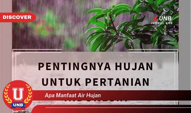 Ketahui 10 Manfaat Air Hujan yang Bikin Kamu Penasaran