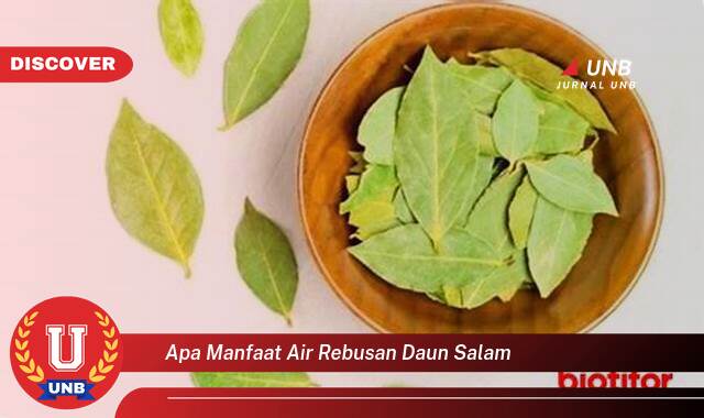 Temukan 9 Manfaat apa manfaat air rebusan daun salam yang Jarang Diketahui