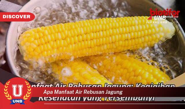 Ketahui 10 Manfaat Air Rebusan Jagung yang Jarang Diketahui