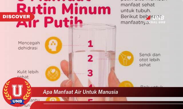 Temukan 8 Manfaat apa manfaat air untuk manusia yang Wajib Kamu Intip