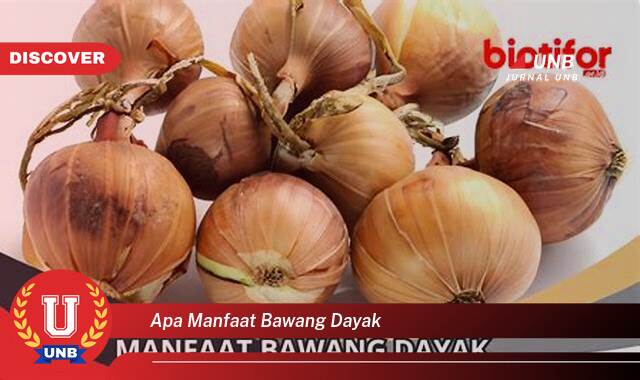 Temukan 10 Manfaat Bawang Dayak untuk Kesehatan dan Kecantikan Anda