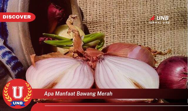 Temukan 8 Manfaat Bawang Merah untuk Kesehatan Tubuh Anda Temukan 8 Manfaat Bawang Merah untuk Kesehatan Tubuh Anda