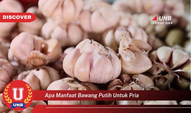 Ketahui 10 Manfaat apa manfaat bawang putih untuk pria yang Jarang Diketahui