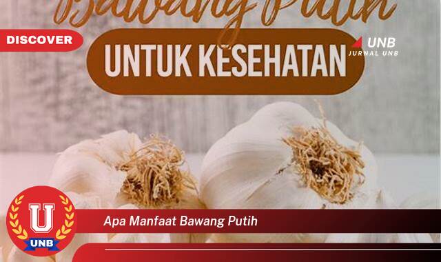 Temukan 10 Manfaat Bawang Putih untuk Kesehatan, Kecantikan, dan Masakan Temukan 10 Manfaat Bawang Putih untuk Kesehatan, Kecantikan, dan Masakan