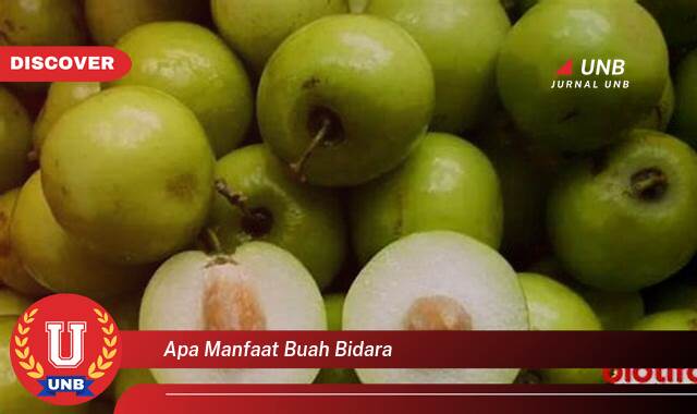 Temukan 10 Manfaat Buah Bidara yang Wajib Kamu Ketahui