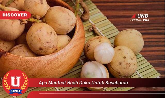 Temukan 10 Manfaat Buah Duku untuk Kesehatan Tubuh Anda