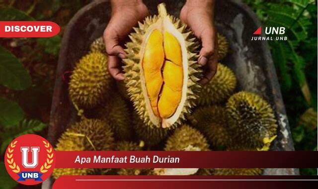 Temukan 9 Manfaat Buah Durian untuk Kesehatan, Kecantikan, dan Lainnya